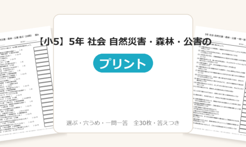 【小5】5年 社会 自然災害・森林・公害のプリント