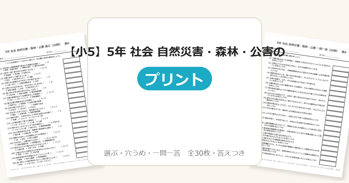 【小5】5年 社会 自然災害・森林・公害のプリント