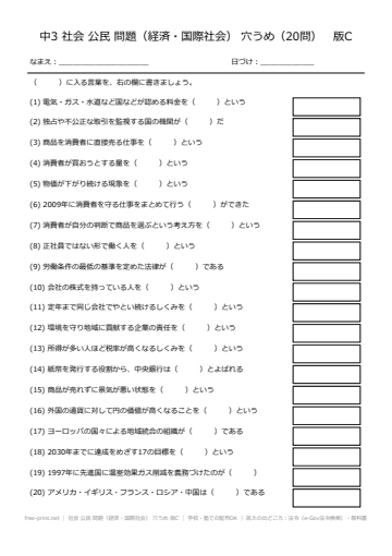 社会 公民 問題（経済・国際社会） 穴うめ 版C
