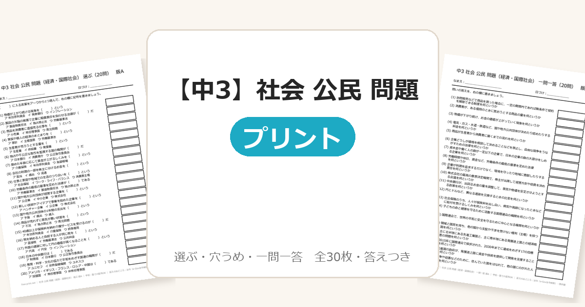 【中3】社会 公民 問題(経済・国際社会)