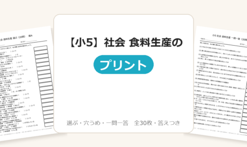 【小5】社会 食料生産のプリント