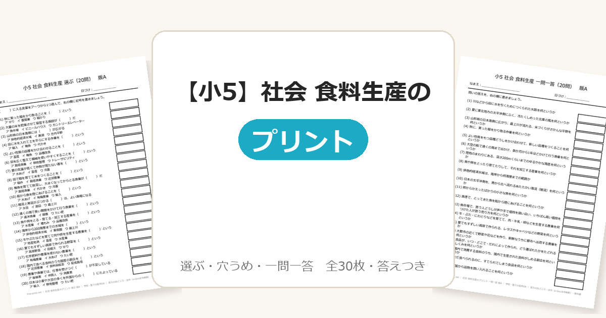【小5】社会 食料生産のプリント